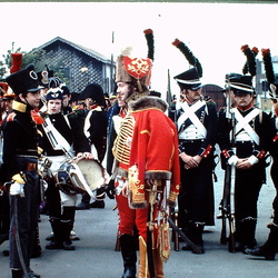 Waterloo 1981